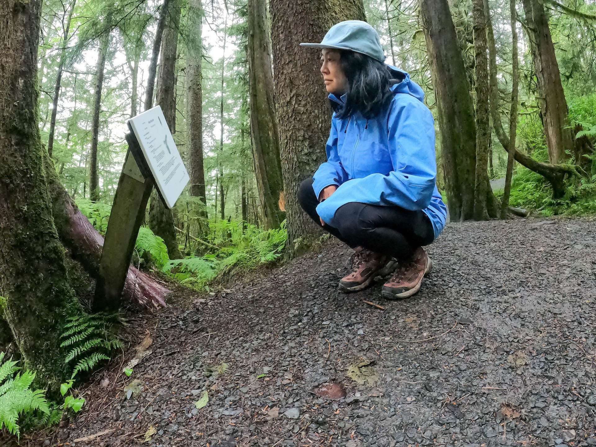 Senior Asian Woman Reading Interpretive Nature Sign on Park Trail